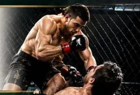 فنون القتال المختلط MMA في الطائف
